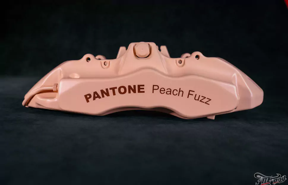 Суппорта в цвете 2024 года от Pantone Peach Fuzz