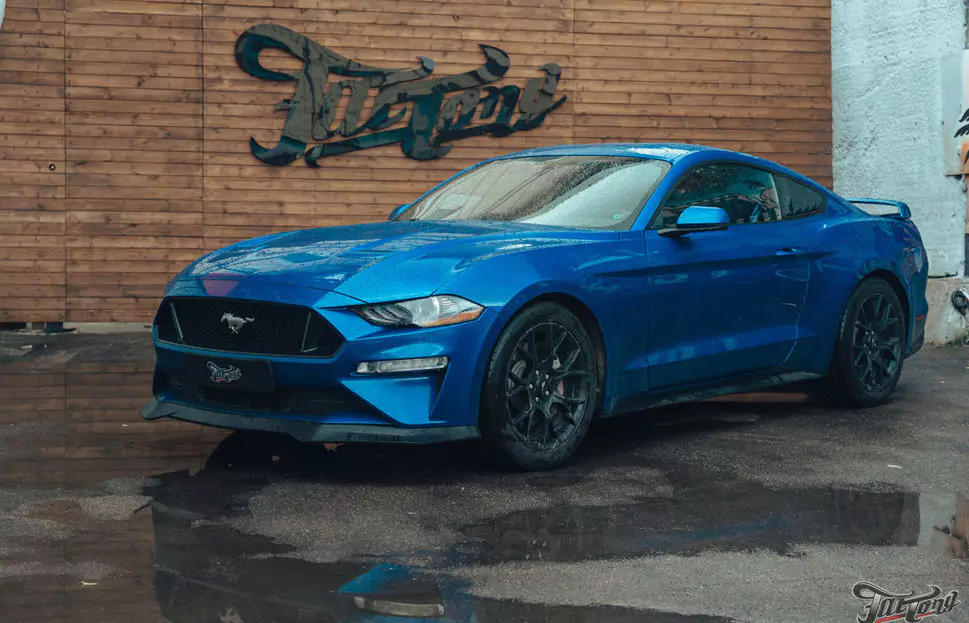 Ремни безопасности с принтом для Ford Mustang