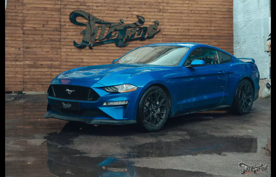 Ремни безопасности с принтом для Ford Mustang